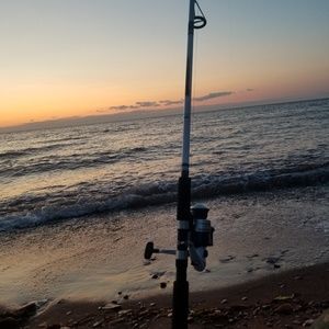 Meet your Posher, Tristan